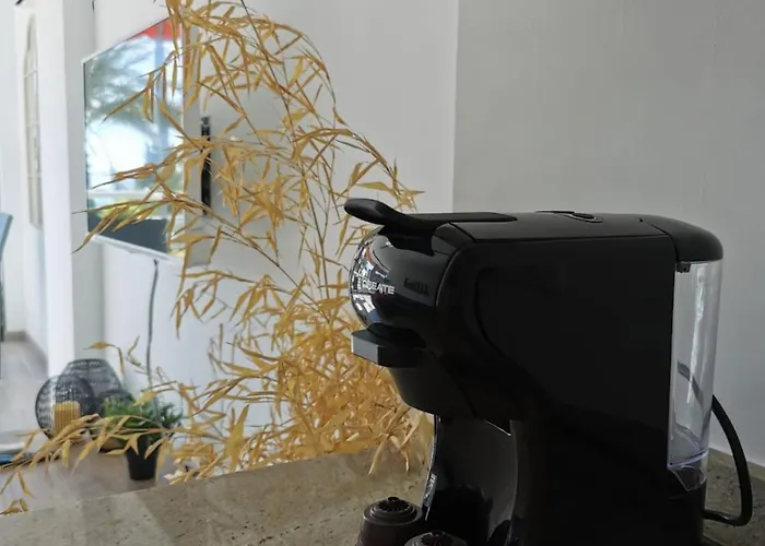 Apartment Oasis Frente Al Mar, Albufera, *