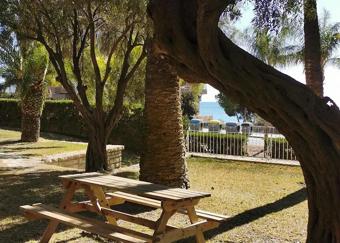 Oasis Frente Al Mar, Albufera, *